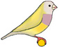 BH PB Yellow Hen